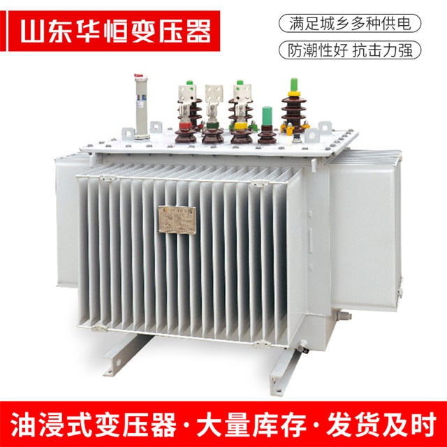 S13-10000/35卫东卫东卫东电力变压器